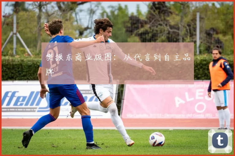 樊振东商业版图：从代言到自主品牌