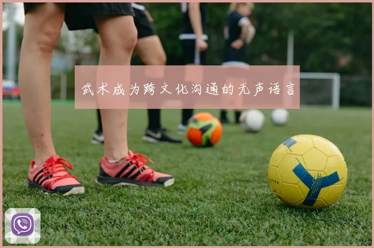 武术成为跨文化沟通的无声语言
